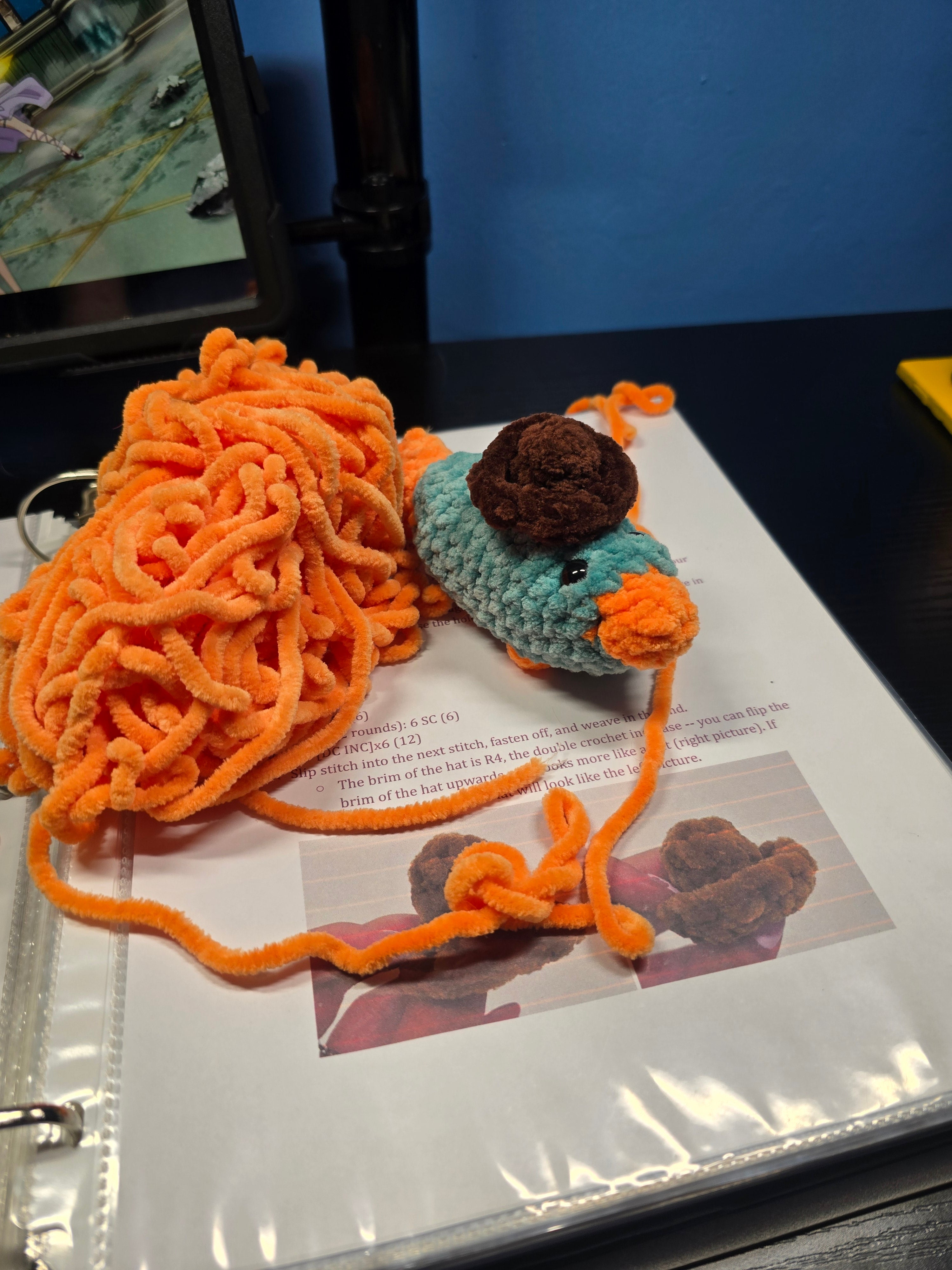 Platypus with hat made to order